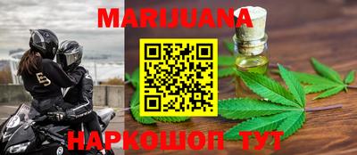 spice Кингисепп