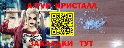 spice Кингисепп