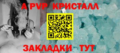 spice Кингисепп