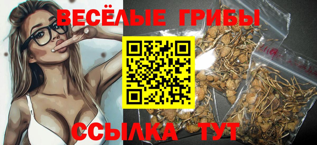 Клинцы  Галлюциногенные грибы мухоморы  наркотики  Вход с VPN 